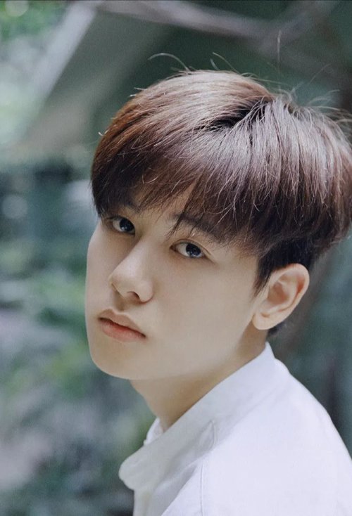 2020����������Ķ̷� ����˧����ͷ������