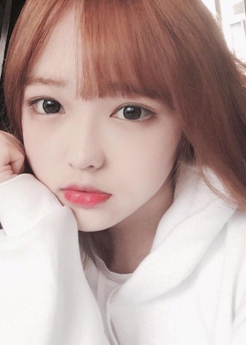 ����Ů���ʺϵĿɰ����� ����Ůѧ�����崿����