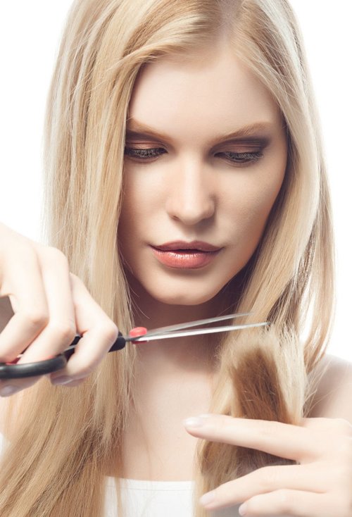 2020��������Ⱦͷ��ͼ�� ʮ�����˵�ͷ��ɫ��