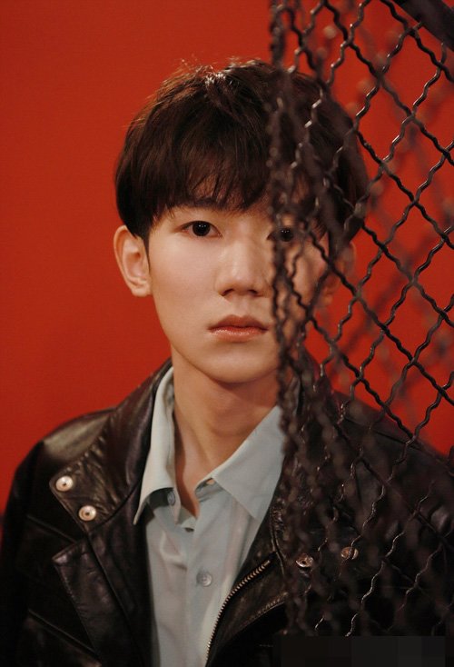 ������������ͷ��������� ����˧���Ķ�ͷ������