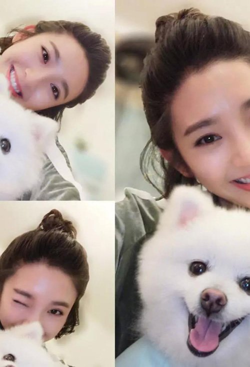 �����еġ���Ȧ�̡���ʾ�� ����󷽵�Ů����ͷ������