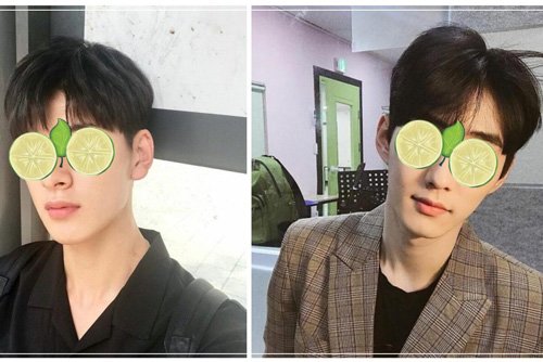 ����ʺϸ������������� ˧�����е������̷�����