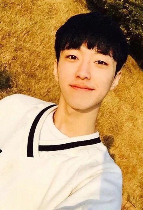 2020�������ʺ��������� �������е�������������