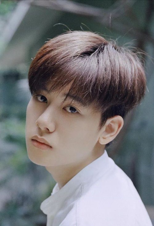 ����������ʲô���ķ��� ڹ��˧��������̷�����