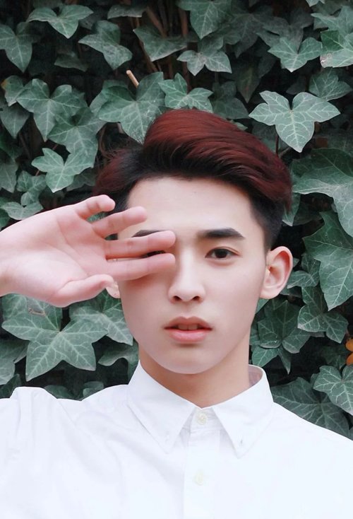 ����Ⱦ�͵�˧��ͷ��ɫ�� ��ϸ�����ʺϵĶ̷���ȫ