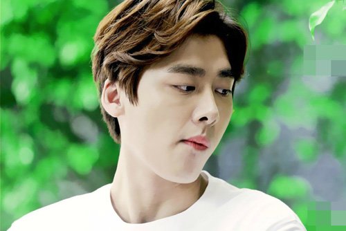 С���⵽������ľ��� ��������˧�����̷�����