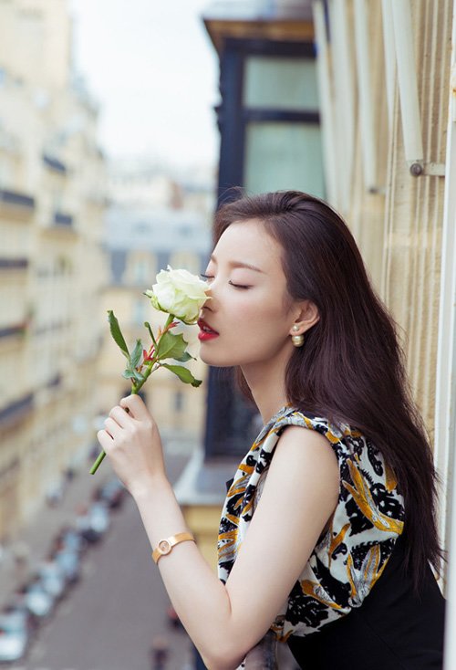 ɭŮϵ�е���ɢ����� ��������ʸеľ���ͼ