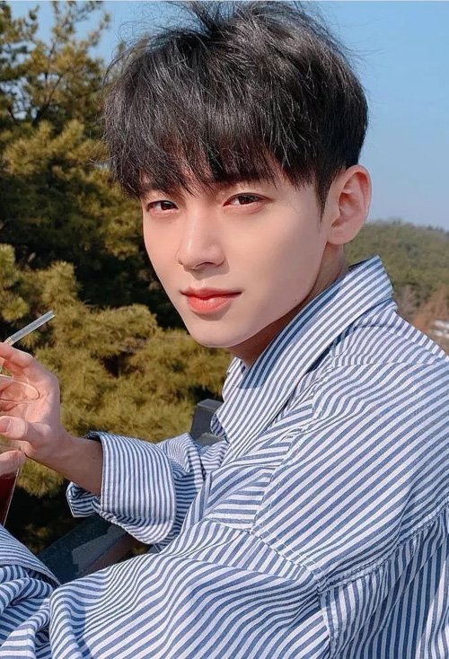 �����������ķ�����ô�޼� Ӣ���������Ķ̷�����