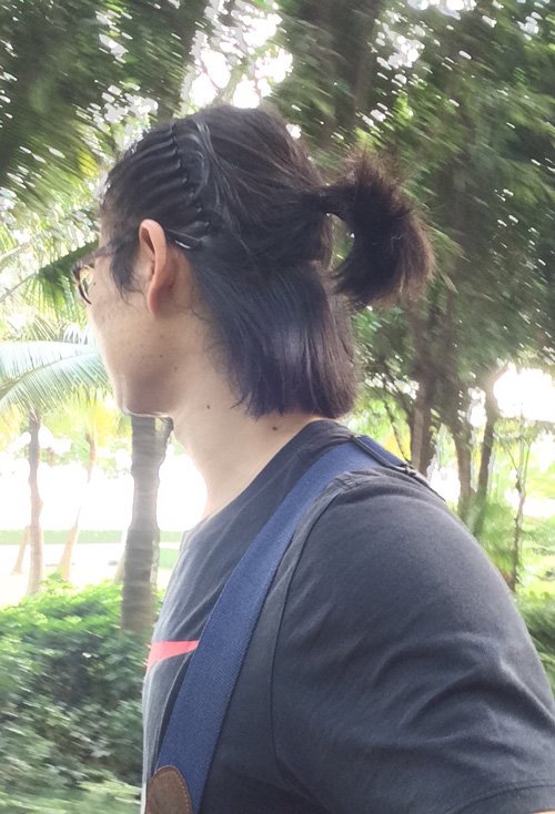 ������С���ӵķ���ͼƬ Ʀ���з�����������